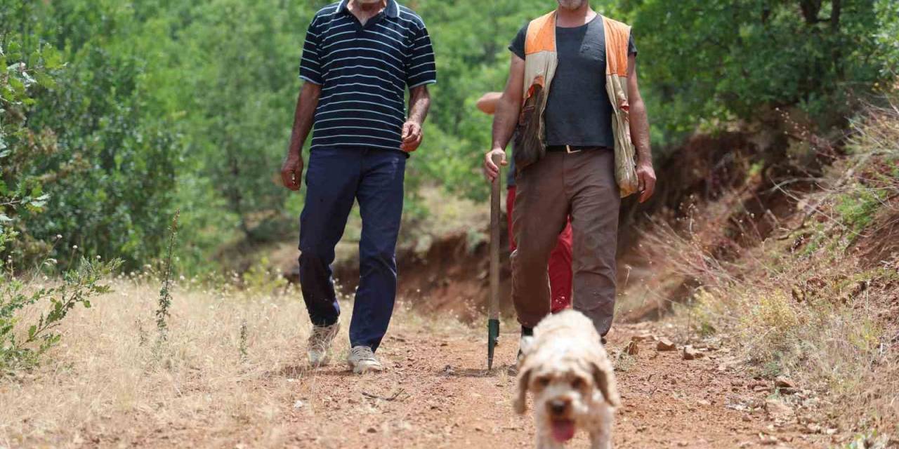 Şehir Şehir Gezerek Köpeğiyle ‘Kara Elmas’ Arıyor