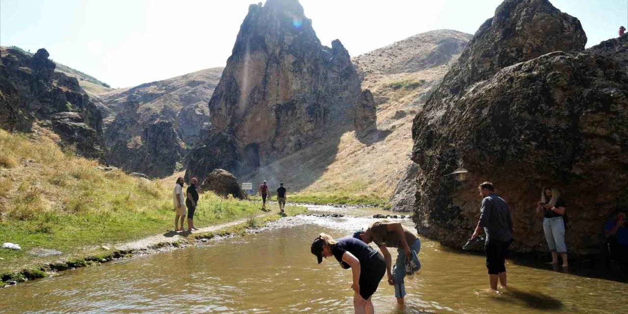 "Babamın Damadı" Filminin Oyuncu Kadrosu Netleşti: Muş’ta Romantik Komedi Rüzgarı