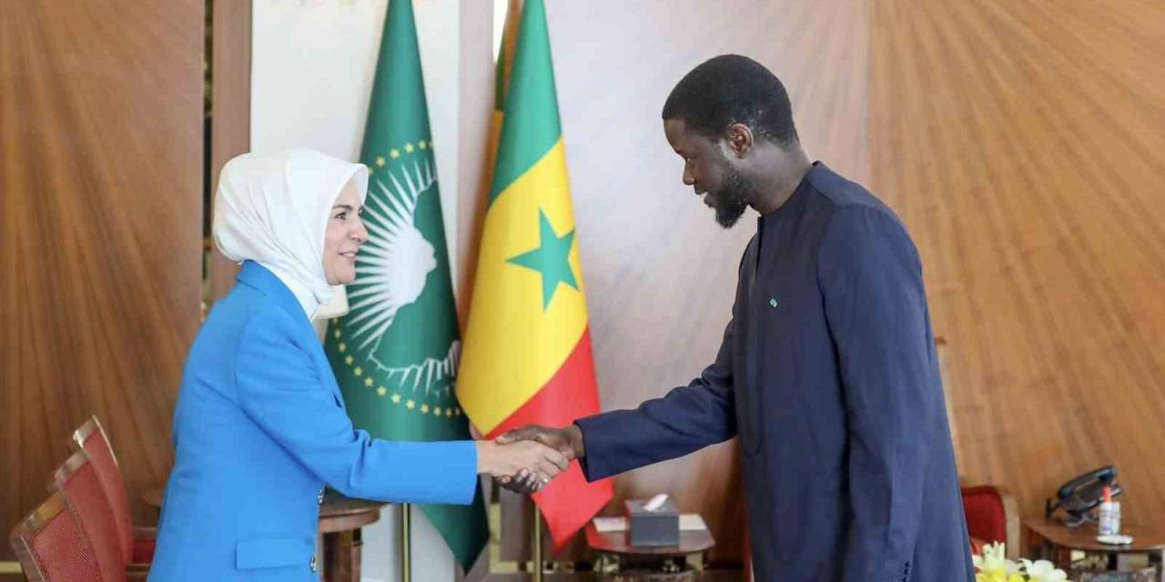 Bakan Göktaş, Senegal Devlet Başkanı Faye İle Görüştü