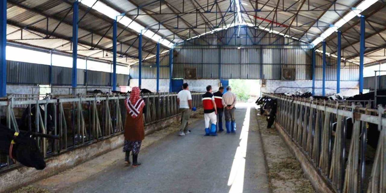 Kütahya’da Kkydp 15. Etap Projelerinin Yatırım Yeri Kontrolleri