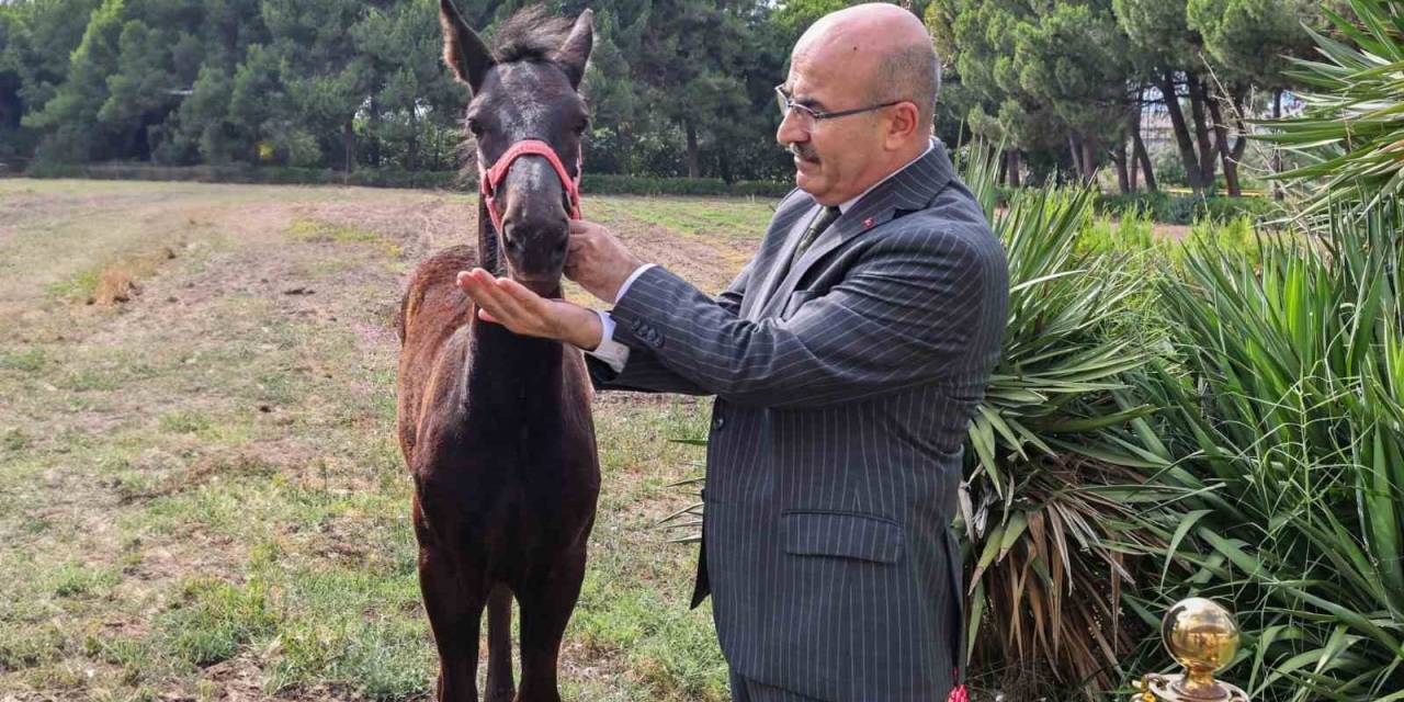 Vali Demirtaş’tan Askeri Veteriner Okulu’na Ziyaret