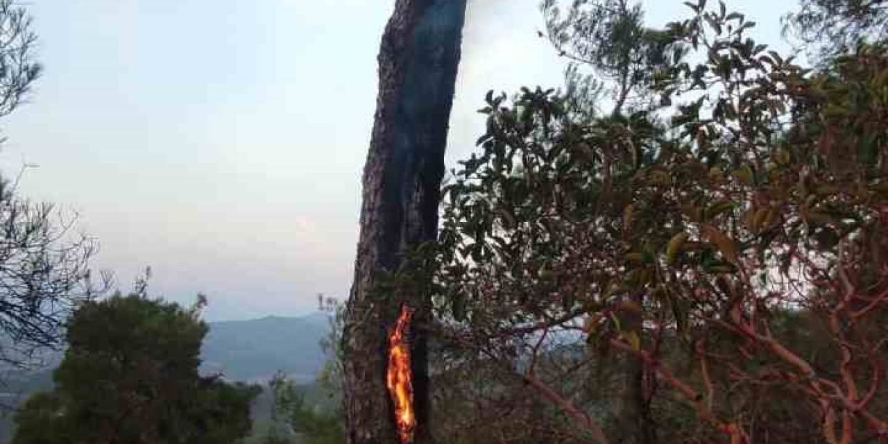 Yıldırımın Neden Olduğu Yangın Kısa Sürede Söndürüldü