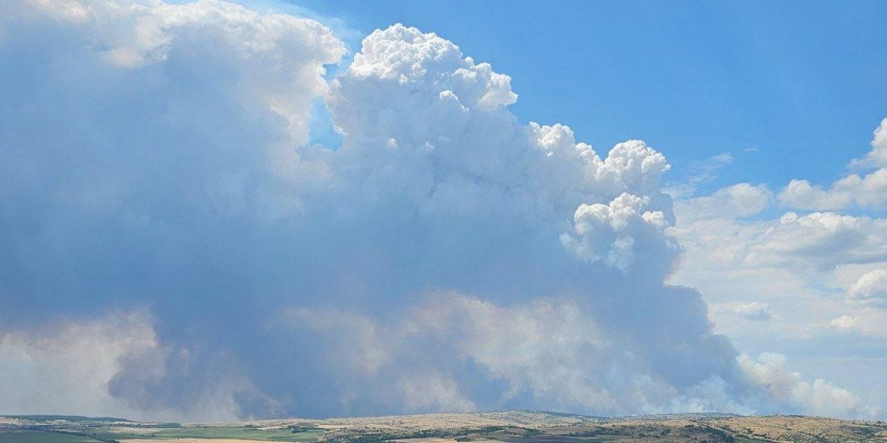 Bulgaristan-türkiye Sınırında Yangın: Alevler Sınıra Dayandı