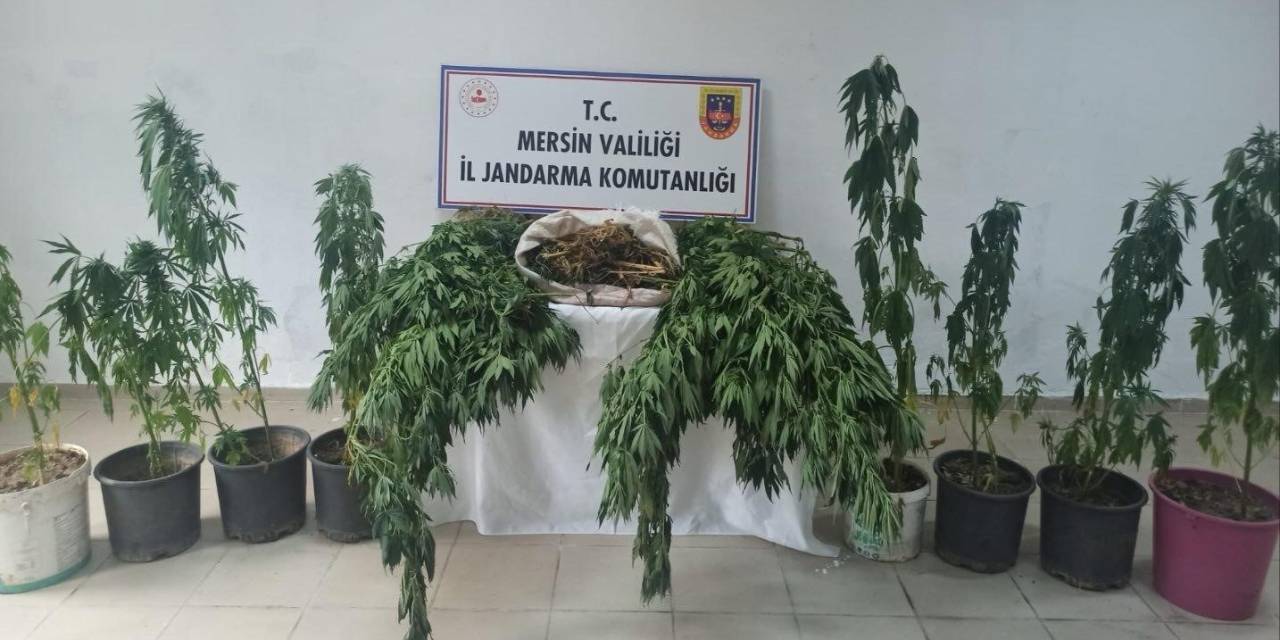 Mersin’de Uyuşturucu Operasyonu: 6 Gözaltı