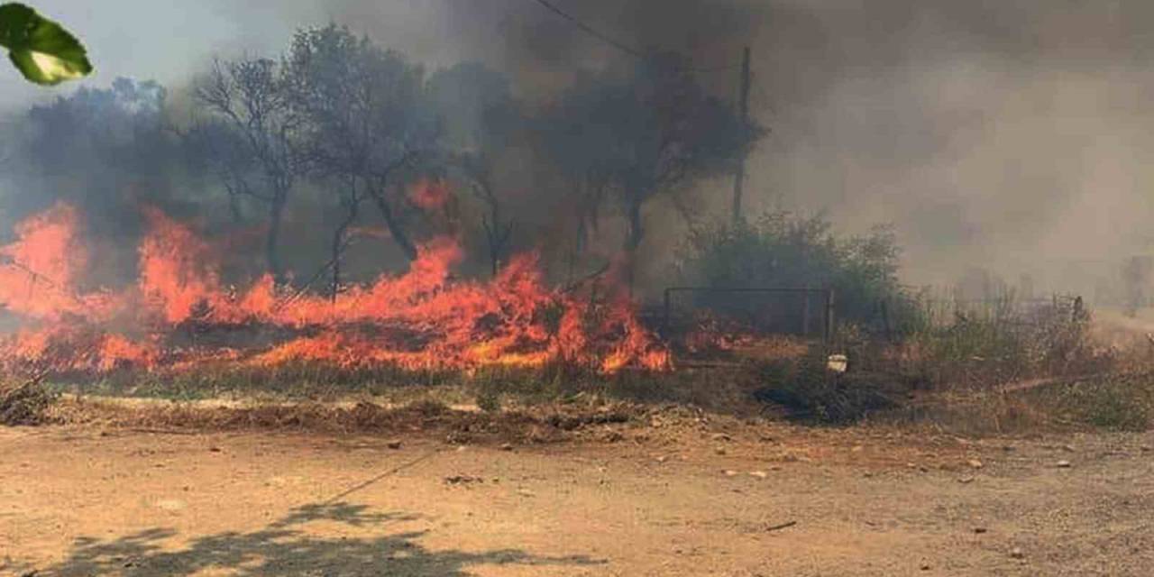Tarım Arazisi Yangını Yerleşim Yerine Ulaşmadan Söndürüldü