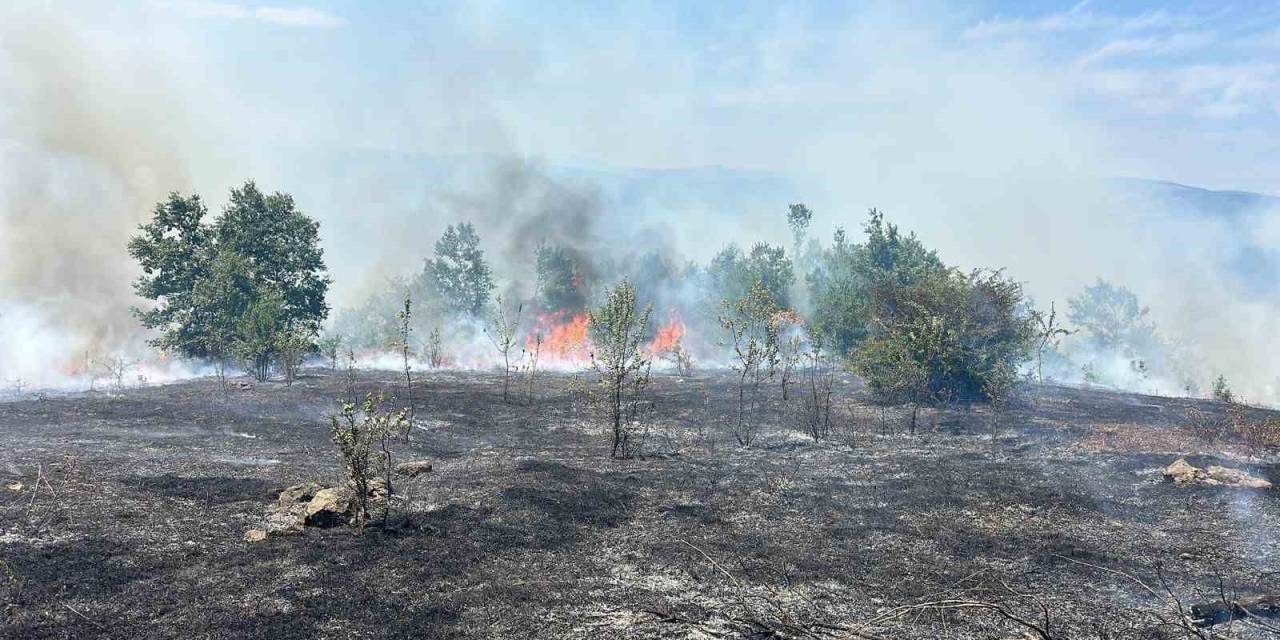 Samsun’da 25 Dönümlük Tarım Arazisi Yangında Zarar Gördü