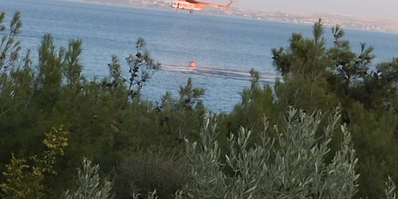Piknik Ateşinden Çıkan Orman Yangını Söndürüldü