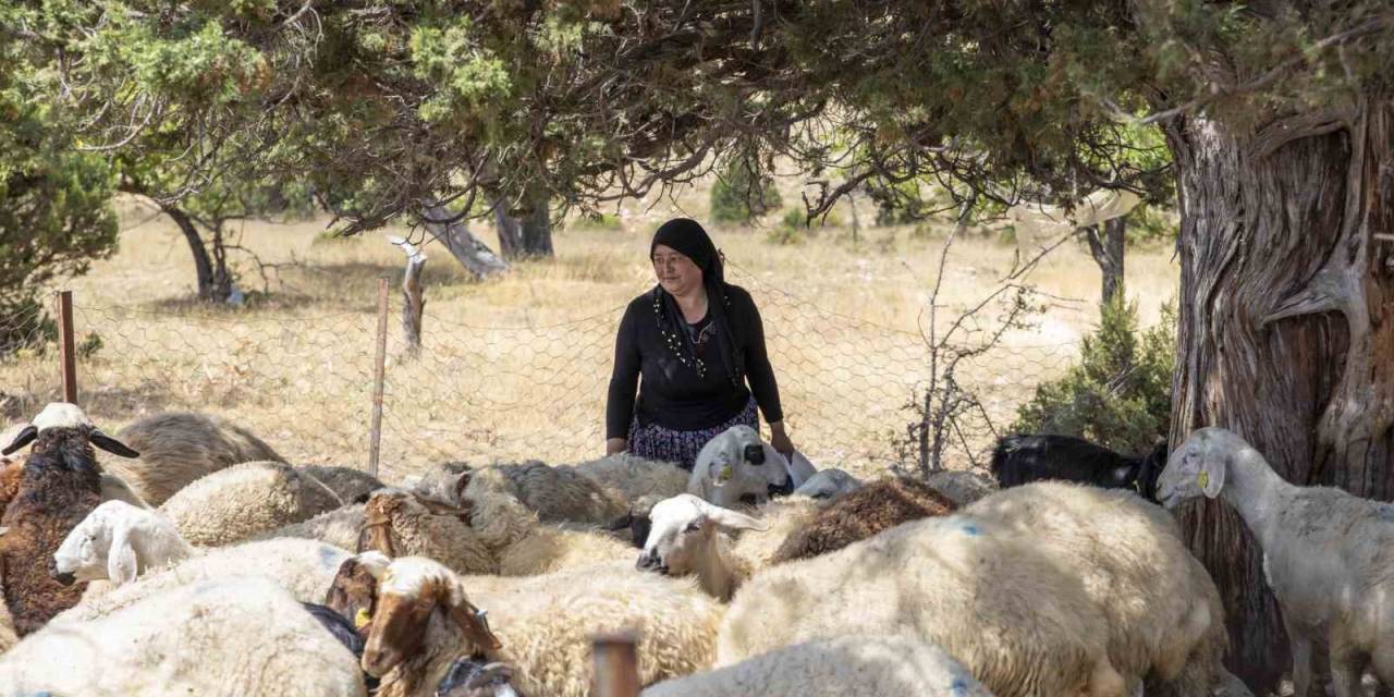 ’hadi Gel Köyümüze Destek Vereli’ Projesi 5. Yılında