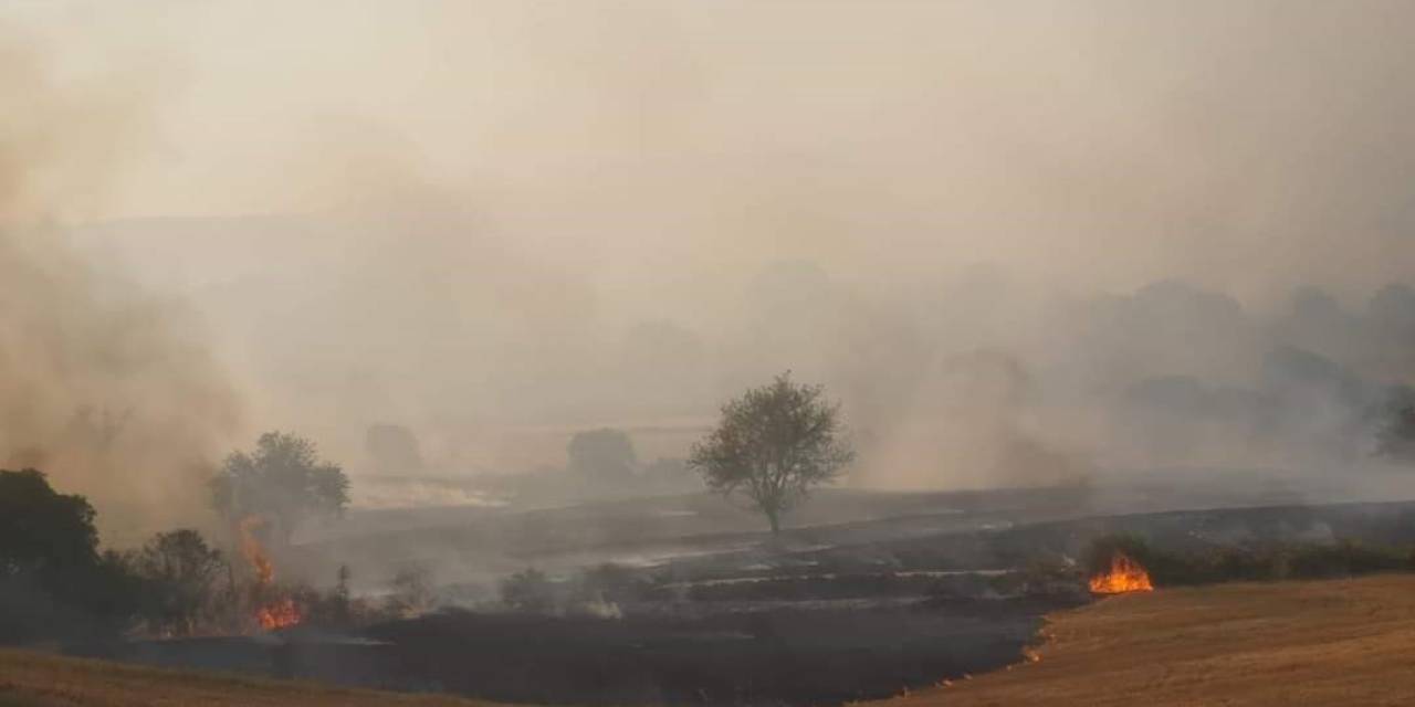 Balıkesir’de Orman Yangını: Havadan Ve Karadan Müdahale Sürüyor