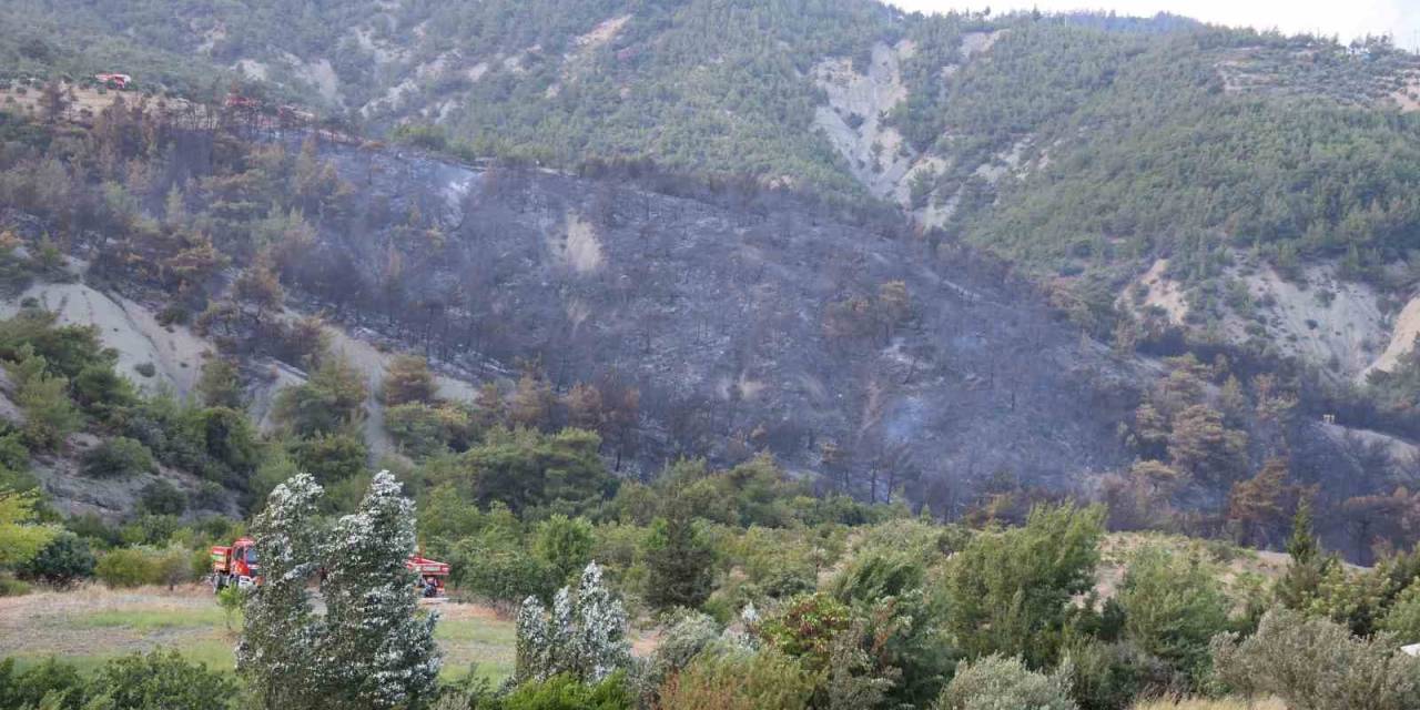 Havadan Ve Karadan Müdahaleyle Kontrol Altına Alınan Yangında Yaşananları Muhtar Anlattı