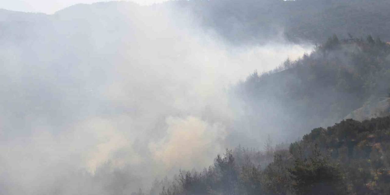 Hatay’daki Orman Yangını Kontrol Altına Alındı