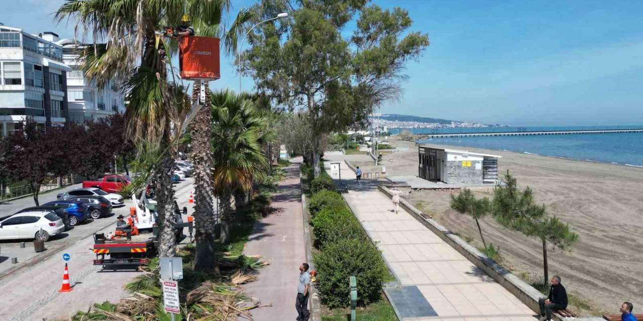 Başkan Doğan: “Atakum Sahilimizi Gurur Duyacağımız Bir Noktaya Taşıyacağız”