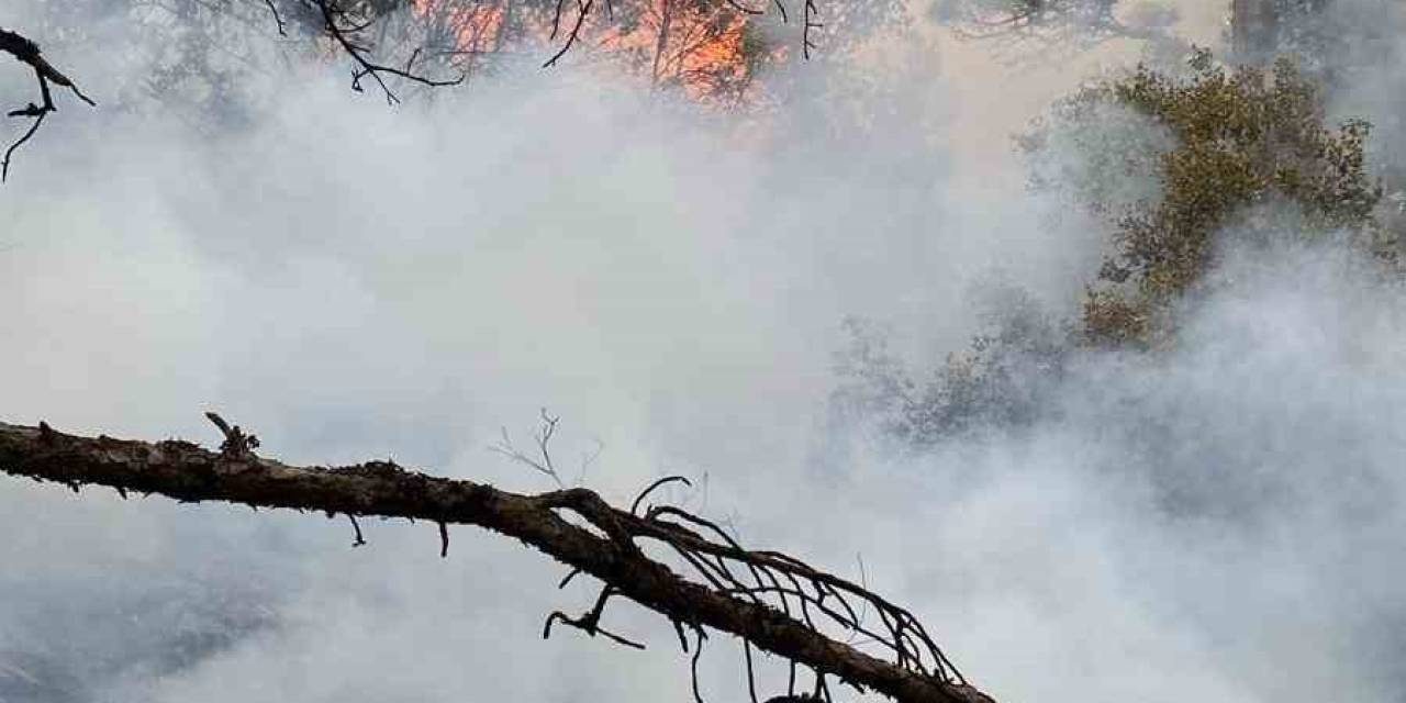 Başkarcı Dağında Yıldırım Düşmesi Sonucu Çıkan Orman Yangını Söndürüldü