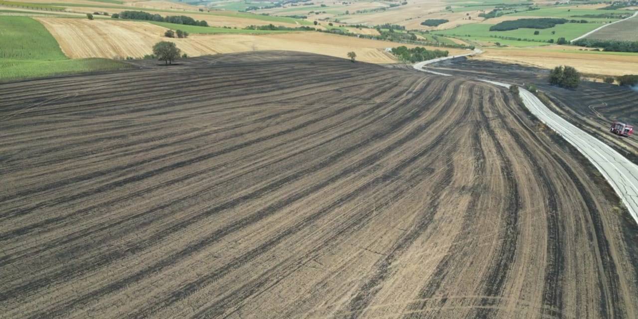 Tekirdağ’da 200 Dönüm Anız Alan Yandı