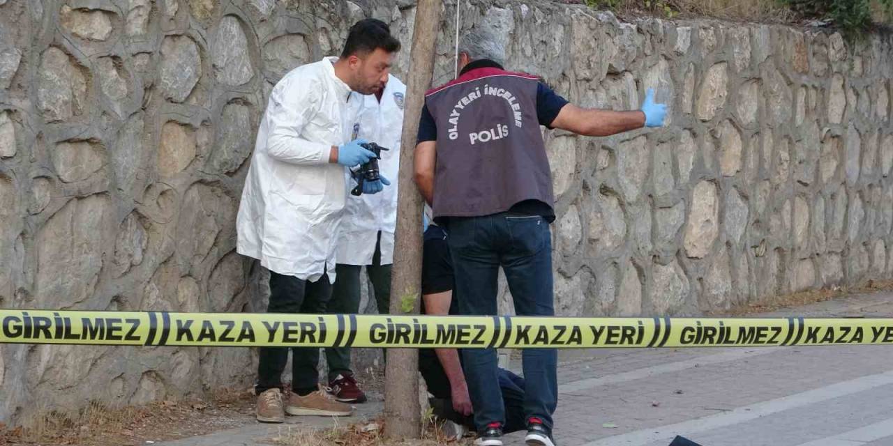 İş Adamı İple Ağaca Asılı Halde Ölü Bulundu