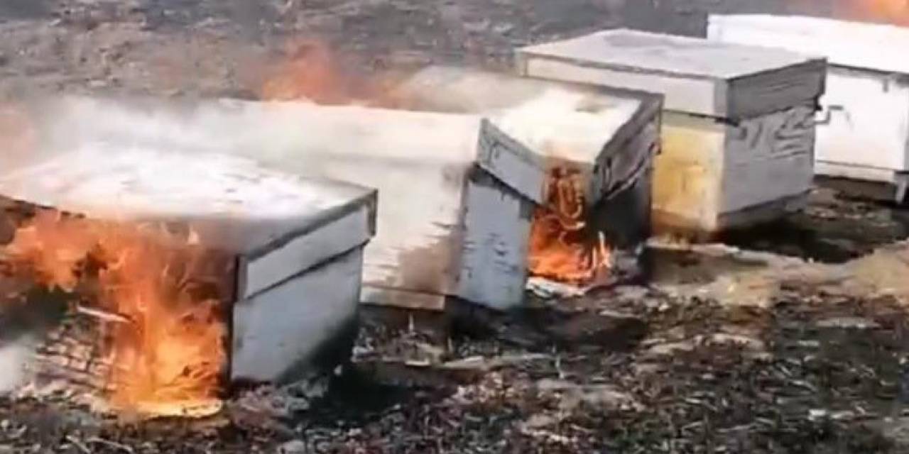Babaeski’de Anız Yangını: Arılar Telef Oldu