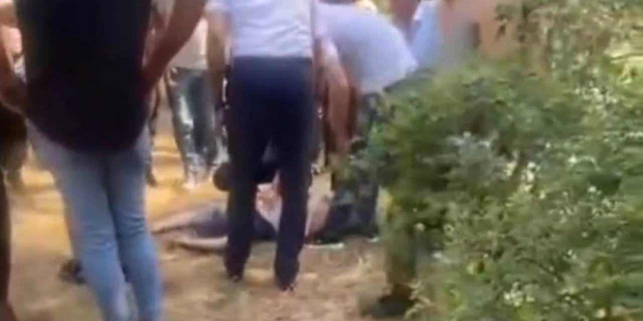 Dereye Düşen Çocuğunu Kurtarmak İsterken Kendisi Kurtulamadı