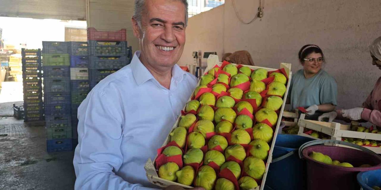 Buharkent’in Taze İncirinin Sofralara Yolculuğu Sürüyor