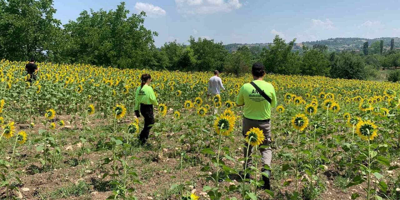 Kayıp Çoban Dün Akşamdan Beri Aranıyor