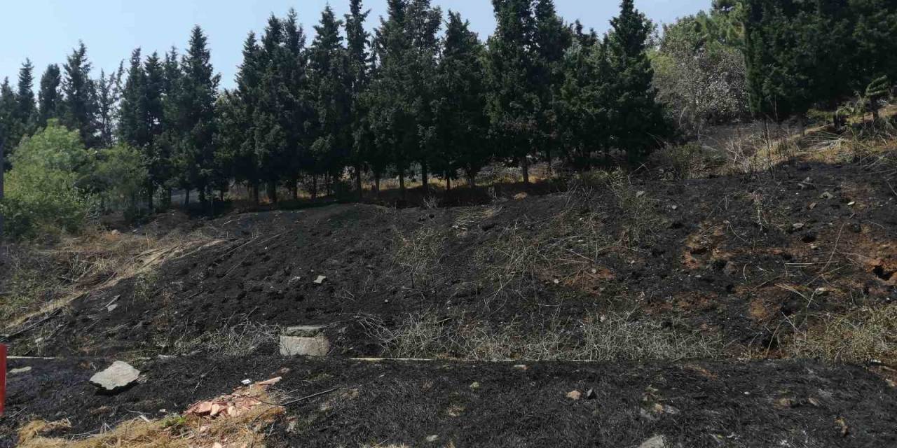 Sancaktepe’de Ormanlık Alanda Yangın