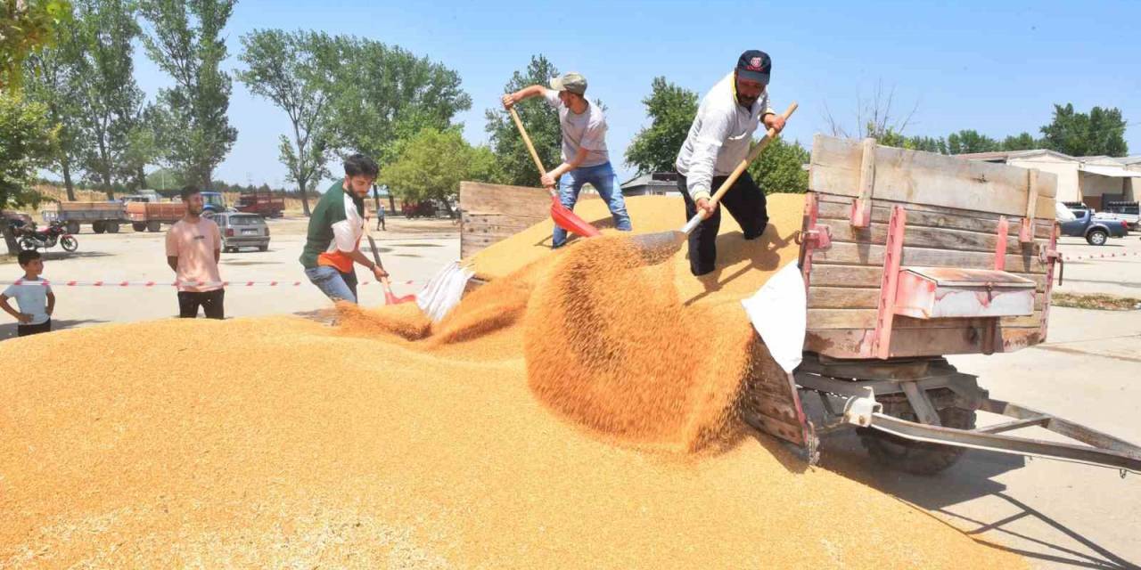 Tmo, Yenişehir’den 3 Bin 500 Ton Hububat Aldı