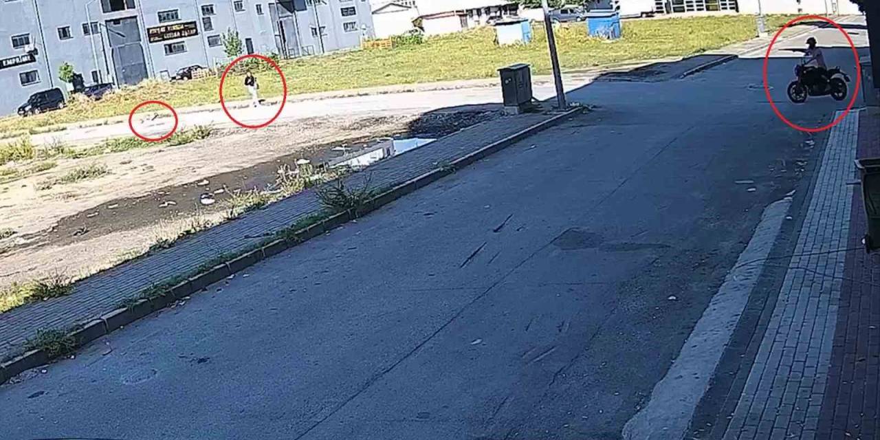 Bursa’da Sokak Köpeğinin Saldırısından Kadını Kurtardı... O Anlar Kamerada