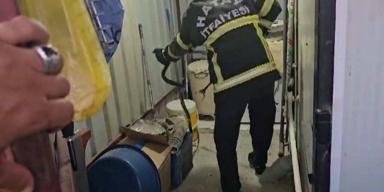 Depremzedelerin Yaşadığı Konteynıra Giren Yılan İtfaiye Ekipleri Tarafından Yakalandı