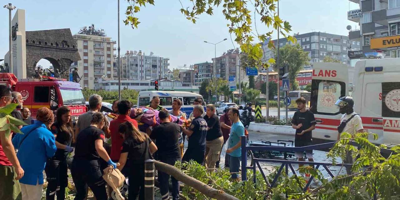 Devrilen Ağacın Altında Kalarak Yaralandı