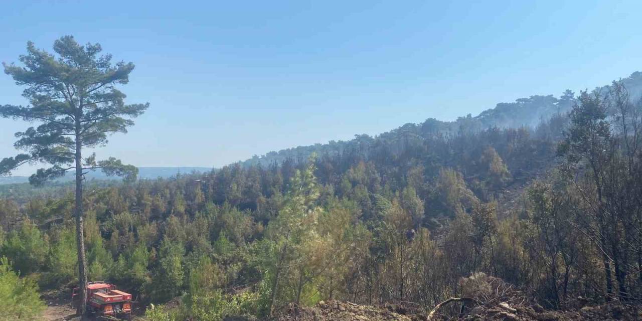 Ayvacık’taki Orman Yangını 19 Saat Sonra Kontrol Altına Alındı