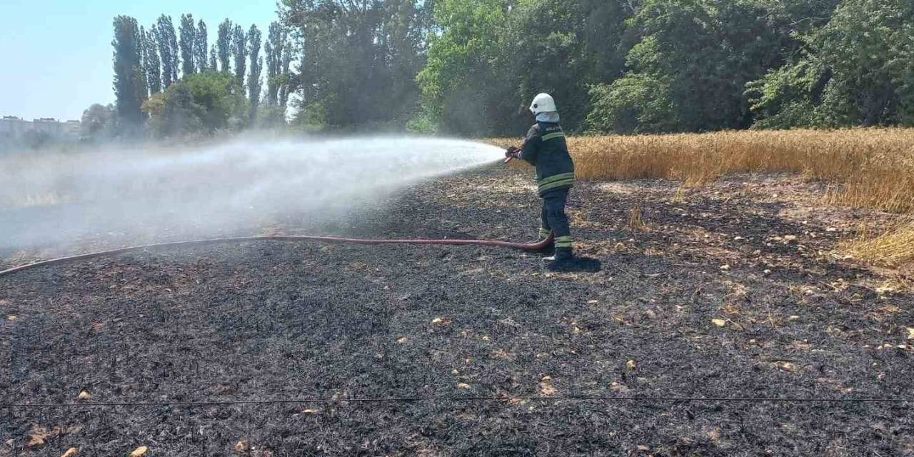 Kopan Elektrik Kablosu 1 Buçuk Dönüm Buğday Tarlasını Küle Çevirdi