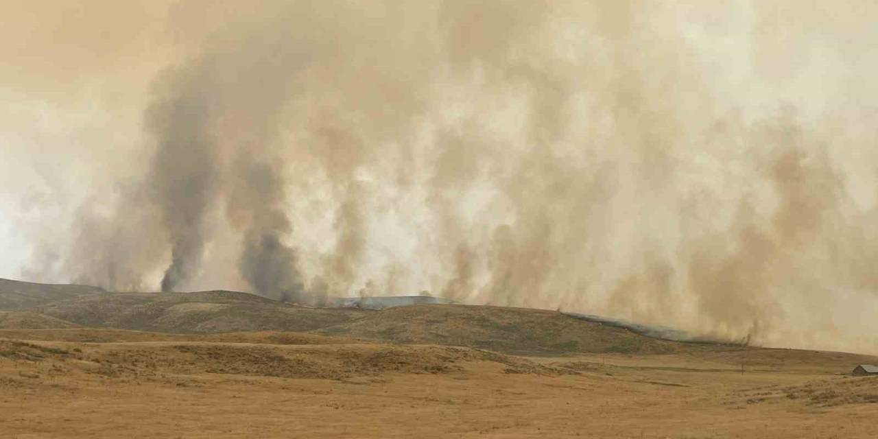 Abd Orman Yangınlarıyla Boğuşuyor