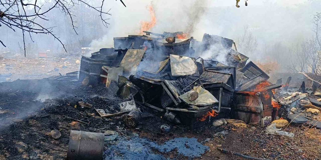 Manavgat’ta 4 Dönüm Kızılçam Ormanı Yandı