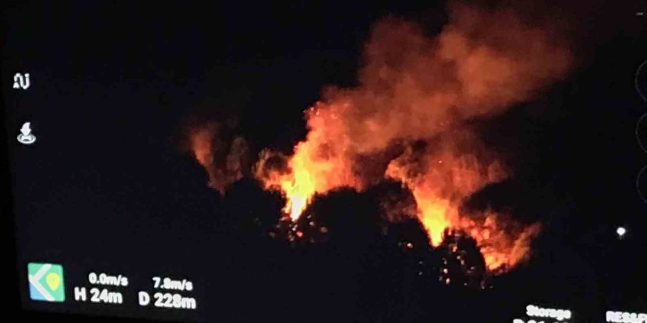 Ormanlık Alanda Çıkan Yangın Ekipleri Seferber Etti