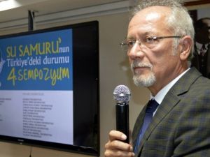 Su Samurları Suyun Kalitesini Gösteriyor