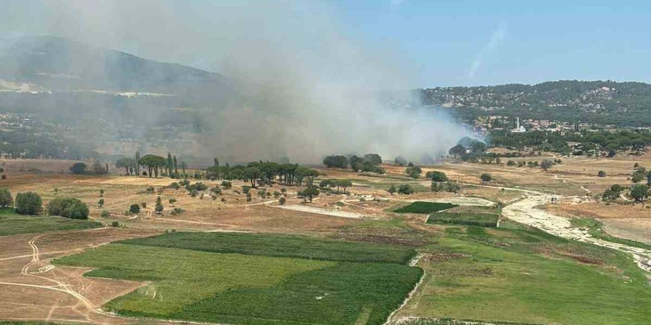 Milas’ta İkinci Orman Yangını