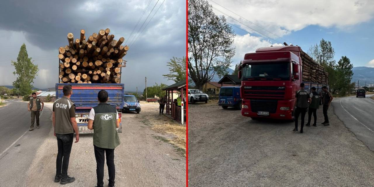 Kaçak Orman Emvaline Geçit Yok