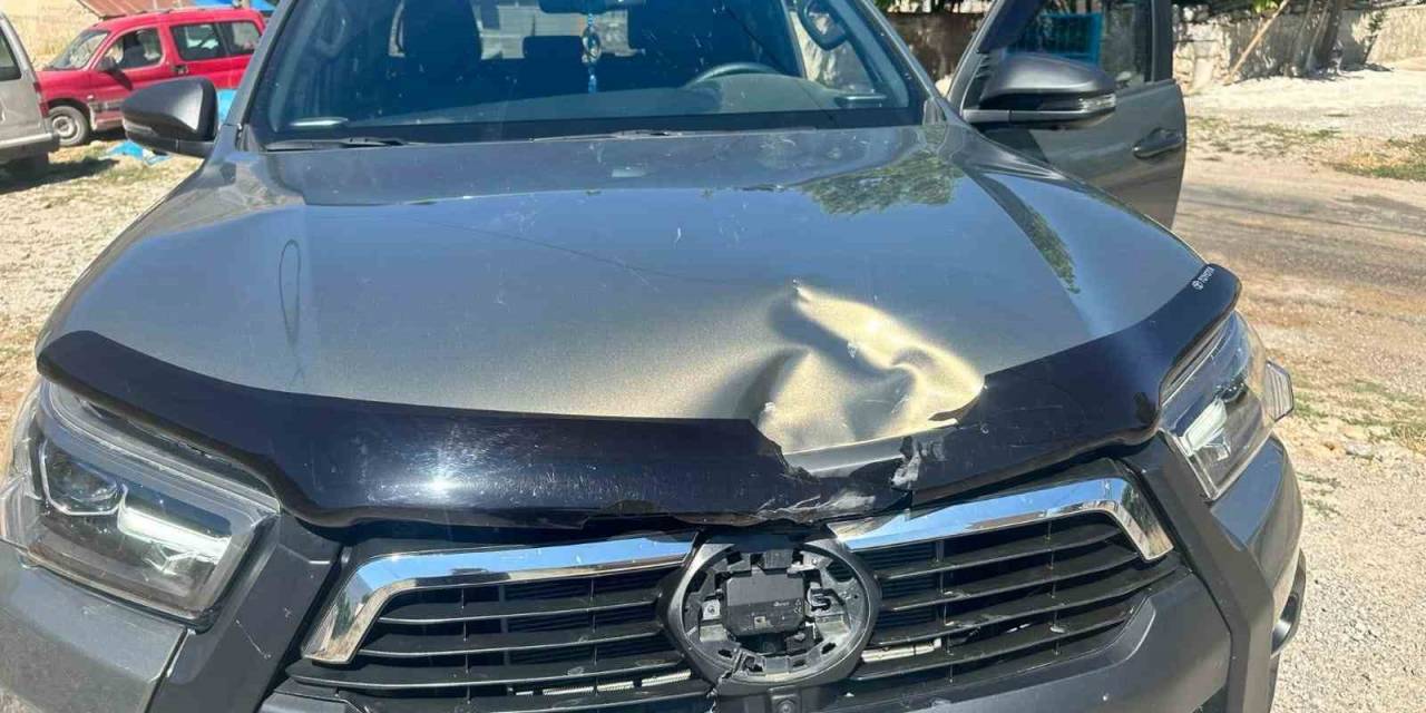 Tunceli’de Ağaç, Seyir Halindeki Aracın Üzerine Devrildi