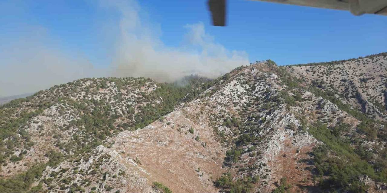 Milas’ta Orman Yangını