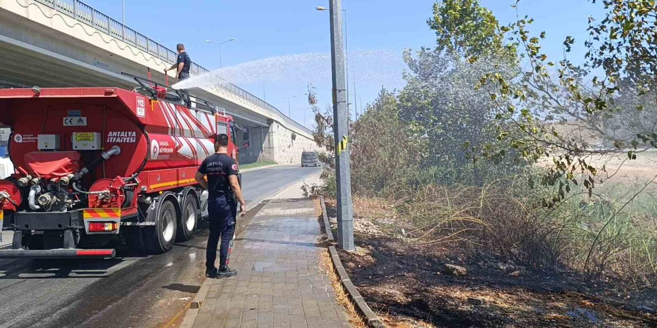 Yol Kenarına Atılan Sigara İzmariti Yangın Çıkardı