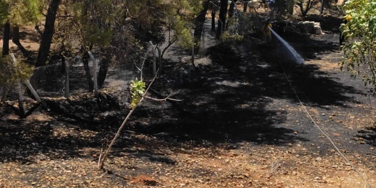 Yangın Ormanlık Alana Sıçramadan Söndürüldü