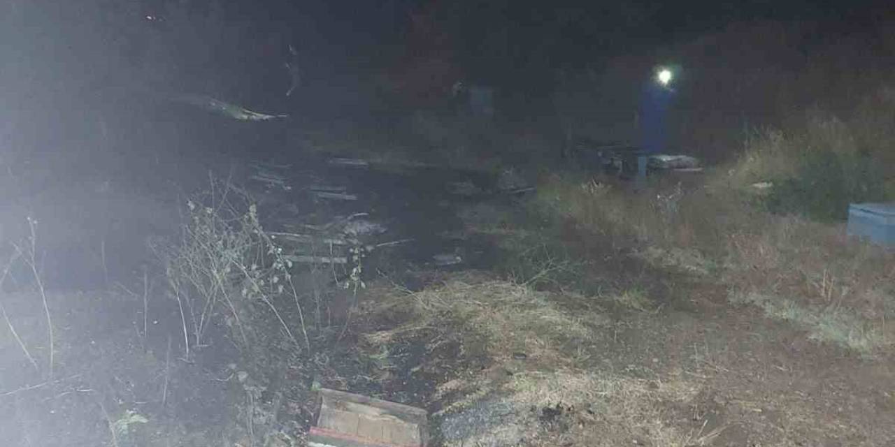 Bingöl’deki Örtü Yangınında Arı Kovanları Da Zarar Gördü