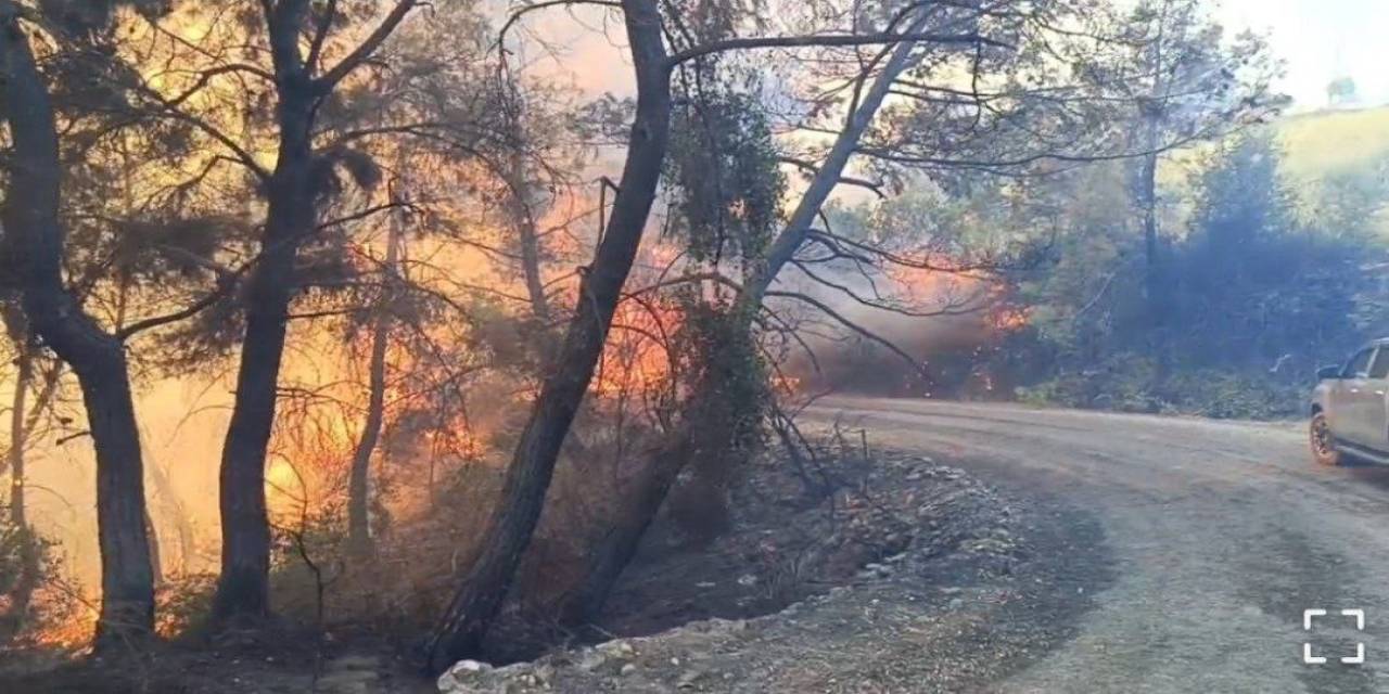 Adana’daki Orman Yangınında 10 Ev Tedbir Amaçlı Tahliye Edildi