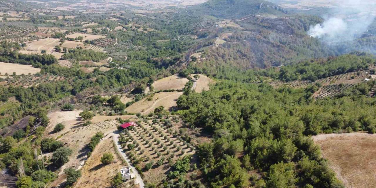 Kozan’daki Orman Yangını Kontrol Altına Alındı