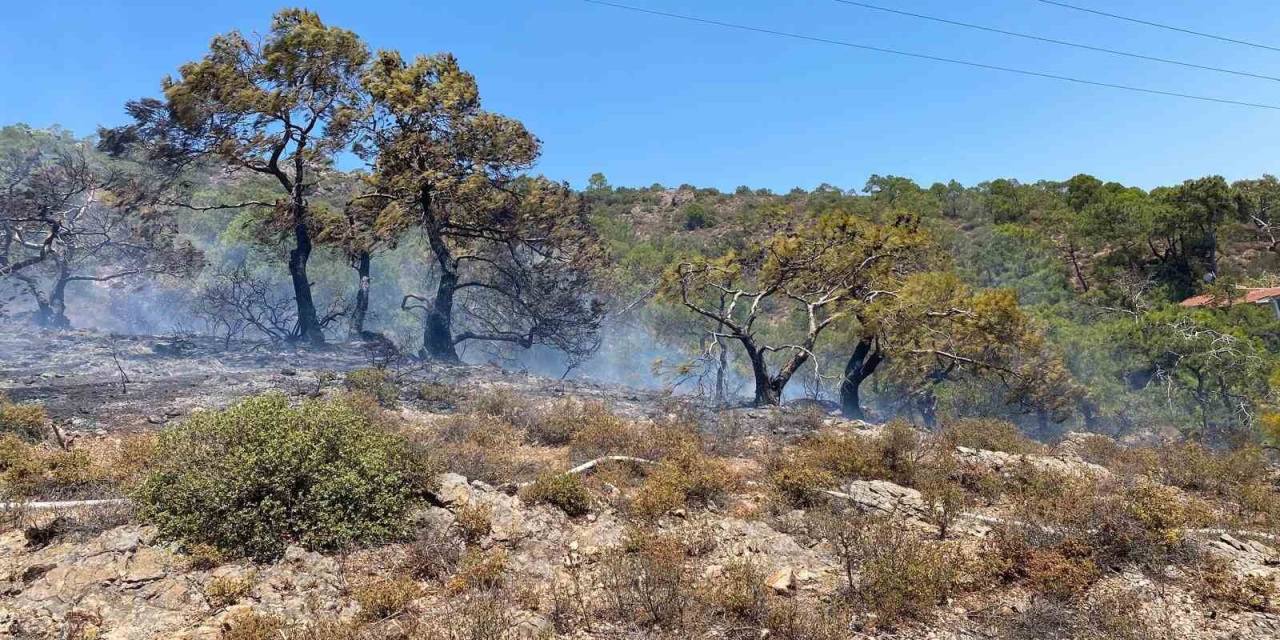 Balıkesir’in Tatil Beldesinde Makilik Alanda Yangın Çıktı