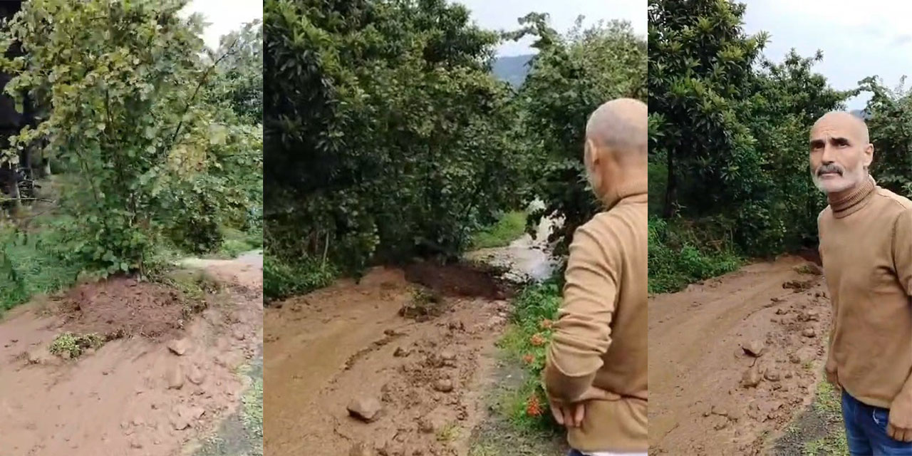 Fındık Ağacı Yolda Kayıp Gitti, Görenler Gözlerine İnanamadı