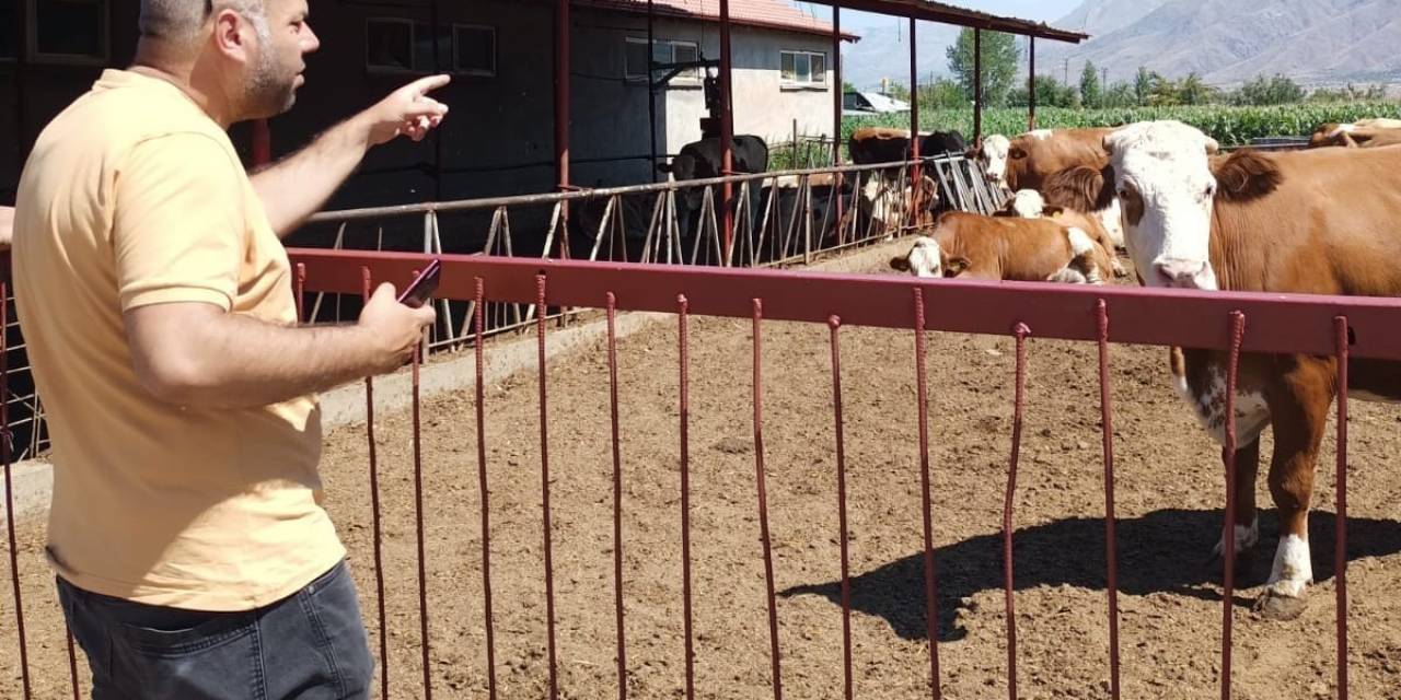 Erzincan’da Hayvancılık İşletmelerine Sağlık Taraması