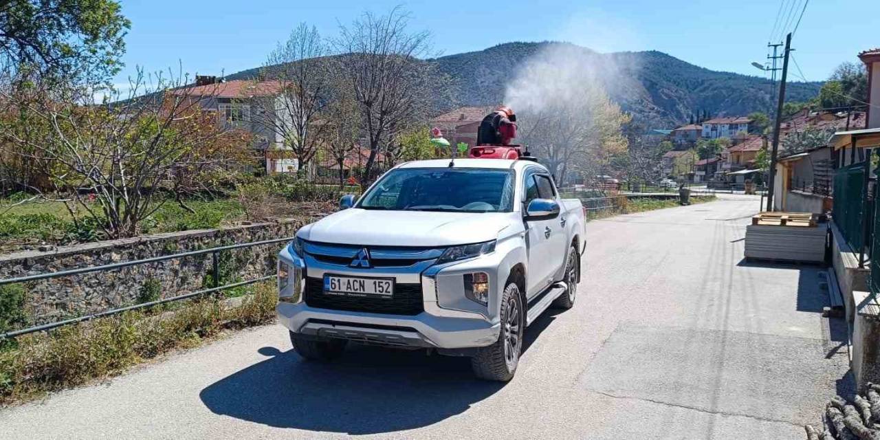 Bilecik Bu Yıl Sinekten Geçilmiyor