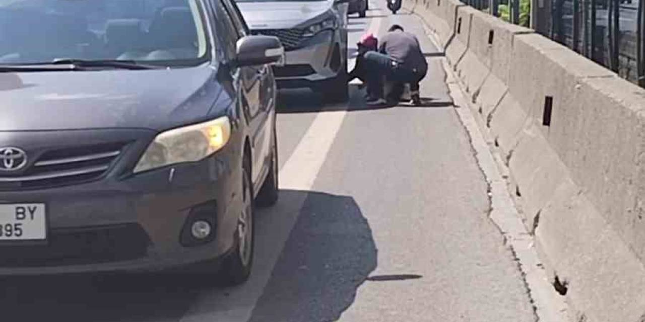 Kadıköy D-100 Karayolunda Yavru Kediyi Kurtaran Duyarlı Vatandaş Kamerada