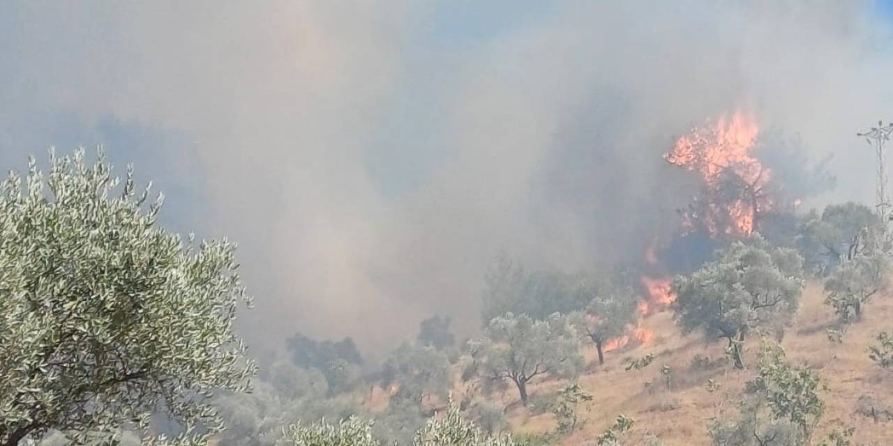 Aydın’daki Yangın Kontrol Altına Alındı