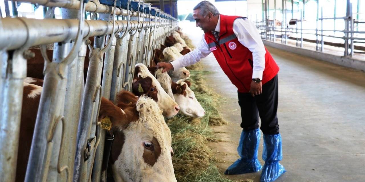 Hastalıktan ’ari İşletmelerin’ Avantajları